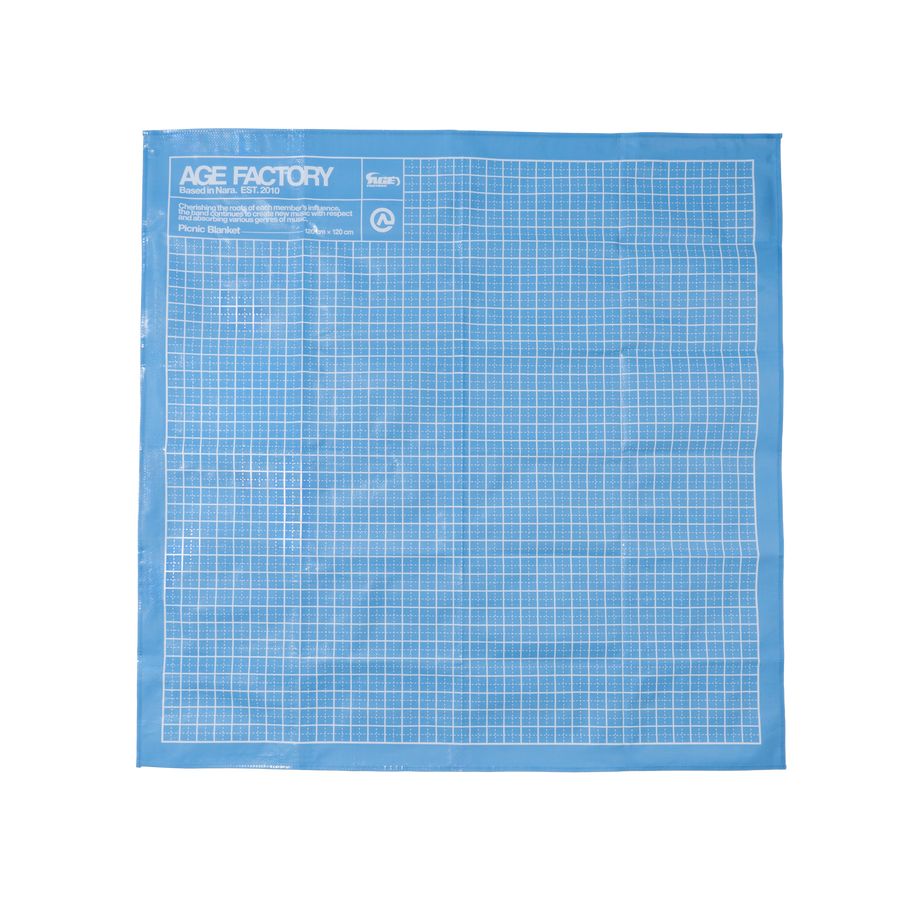 ”Grid” Picnic Blanket